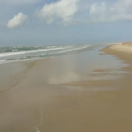 A Arcachon: Plages Et Commerces A Pied, Balcon, Parking, 4 Couchages - Fr-1-474-193