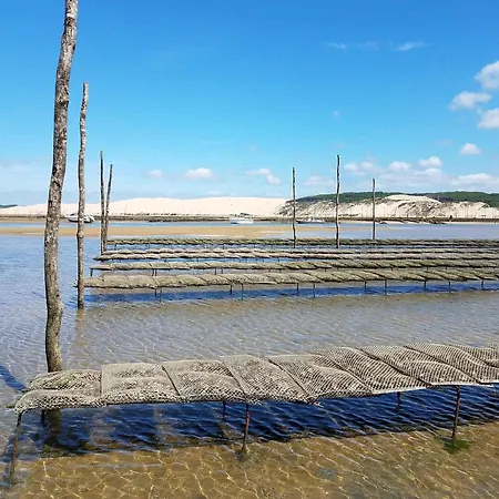 A Arcachon: Plages Et Commerces A Pied, Balcon, Parking, 4 Couchages - Fr-1-474-193 * Arcachon